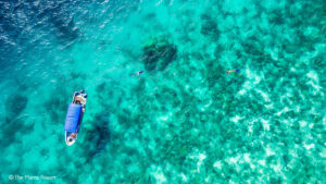 Zanzibar: the ultimate to-do list - Africa Geographic