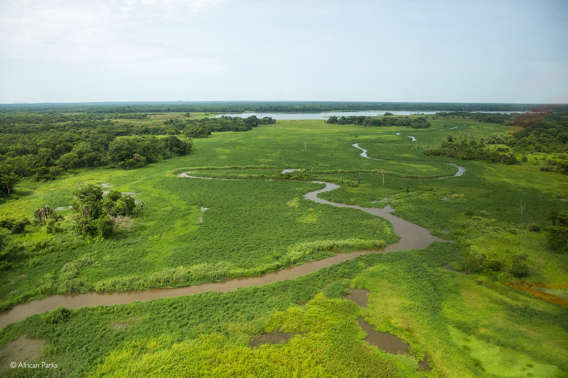 African Parks Takes On Ethiopia S Gambella National Park Africa