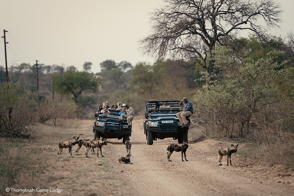 Greater Kruger