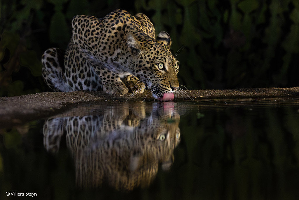 Mana Pools