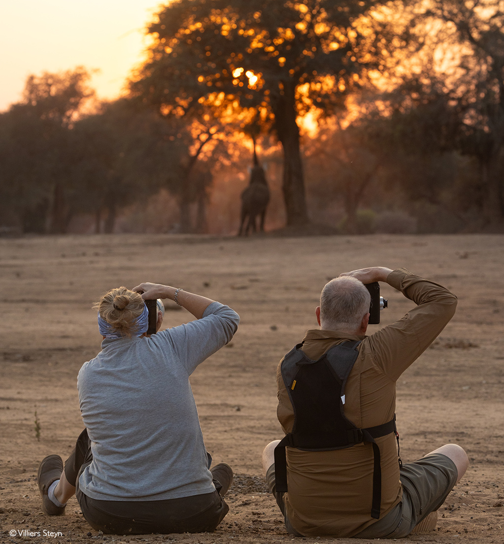 Zimbabwe photographic safari