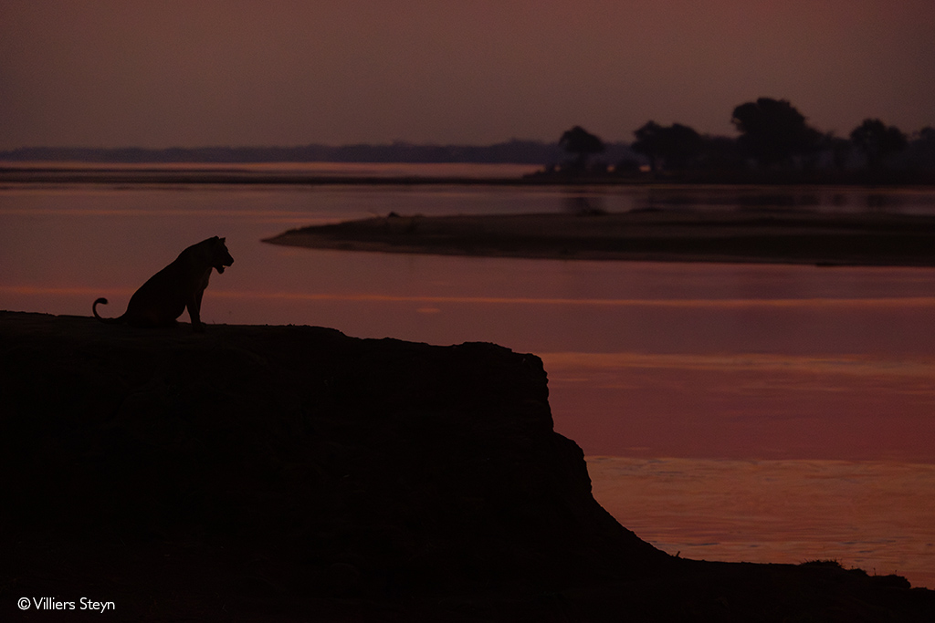 Mana Pools