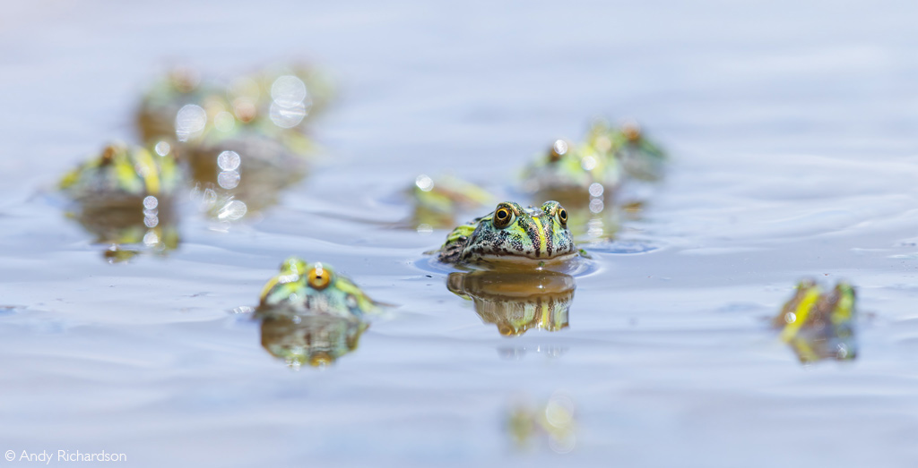 Africa Geographic Photographer of the Year 2025