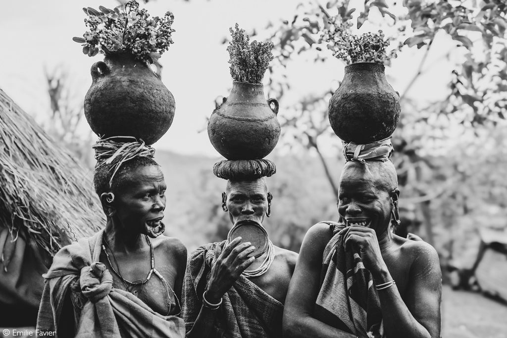 African Safari