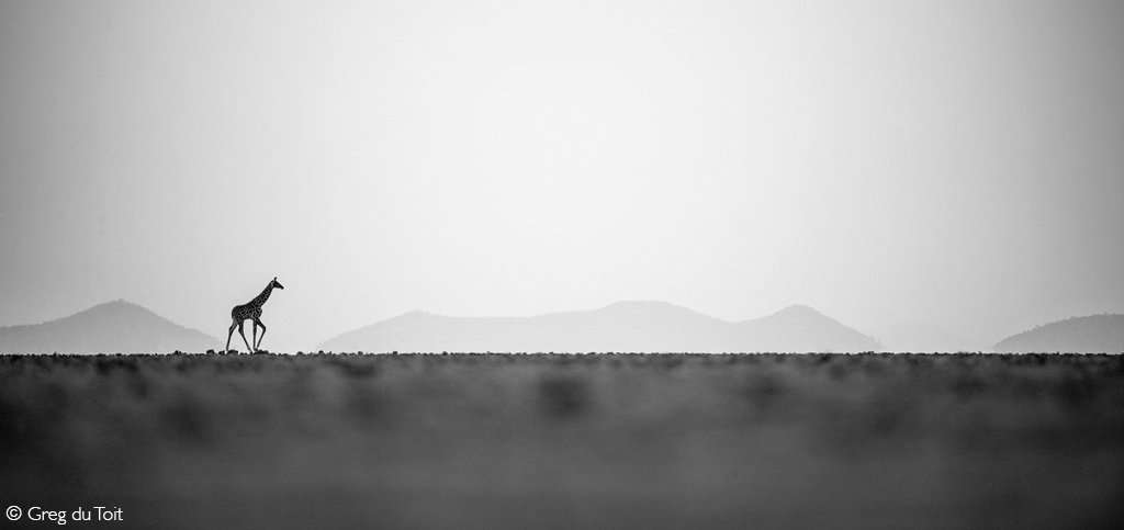 Africa Geographic Photographer of the Year 2025