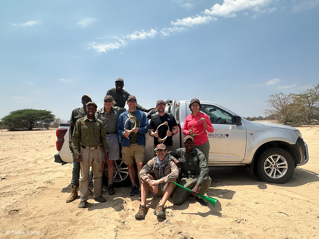 Hwange conservation safari