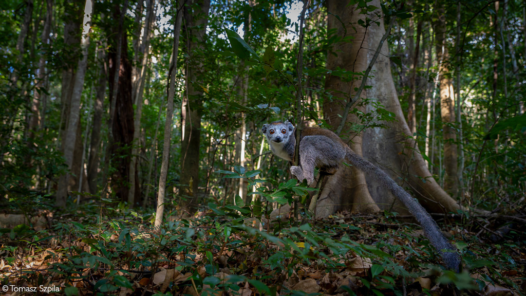 Africa Geographic Photographer of the Year 2025