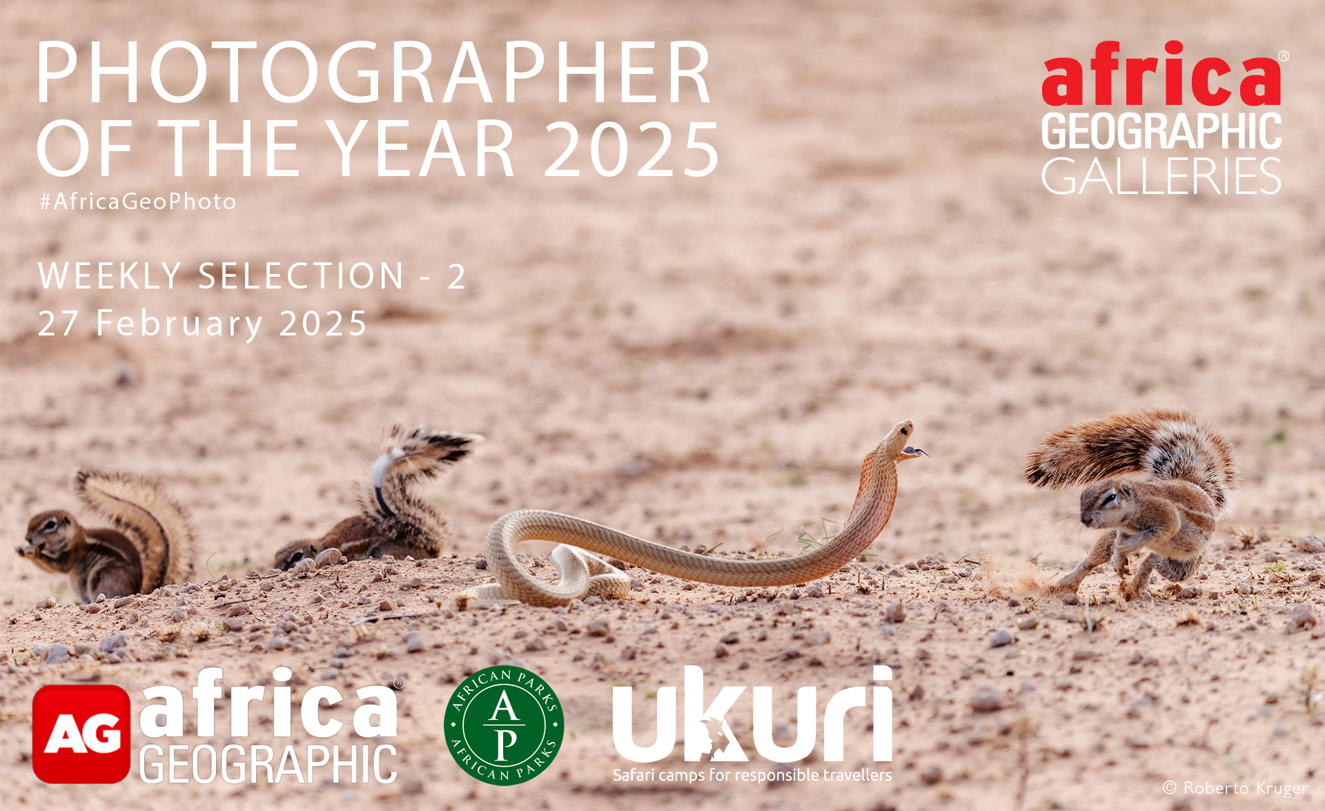 Photographer of the Year