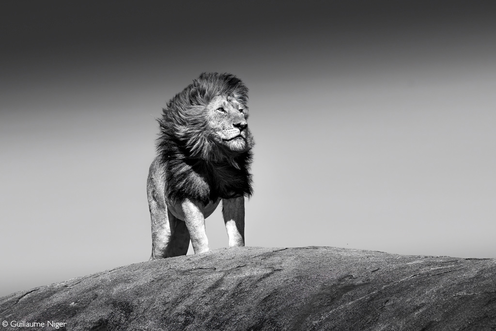 Africa Geographic African safaris