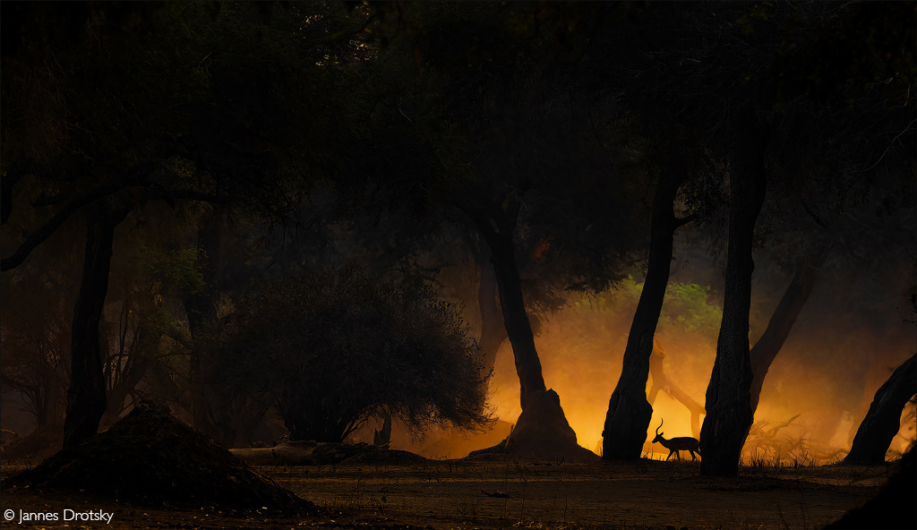 Africa Geographic African safaris