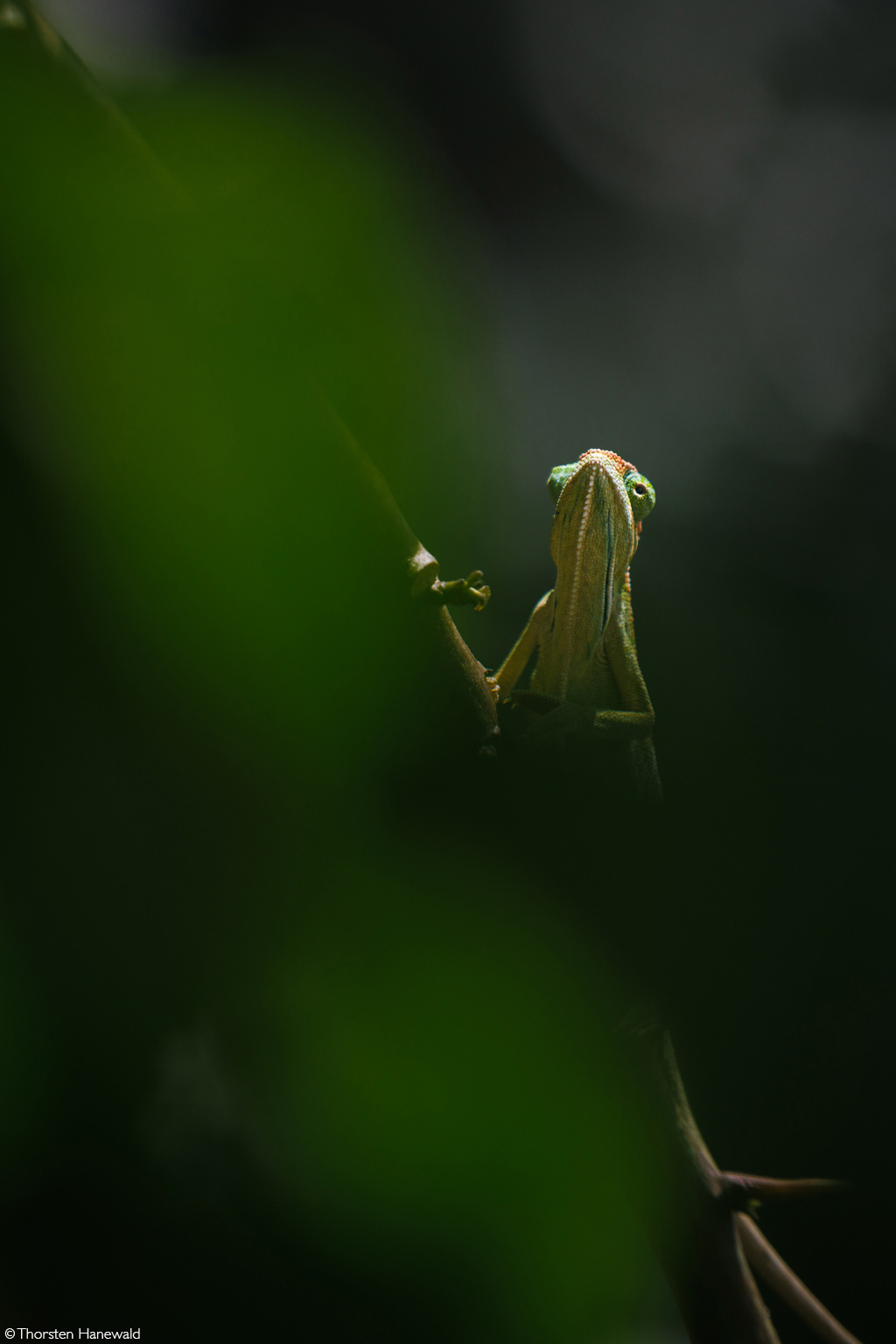 Photographer of the Year 2025