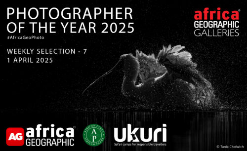 Photographer of the Year 2025
