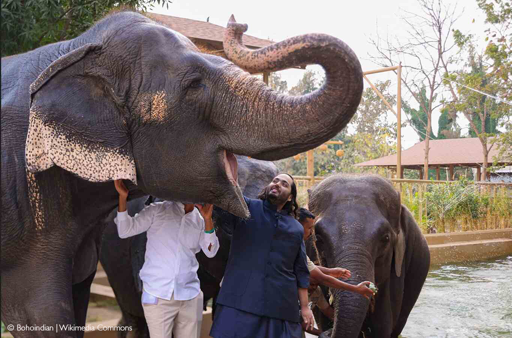 Vantara zoo