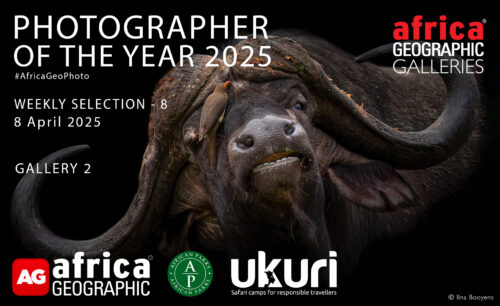 Photographer of the Year