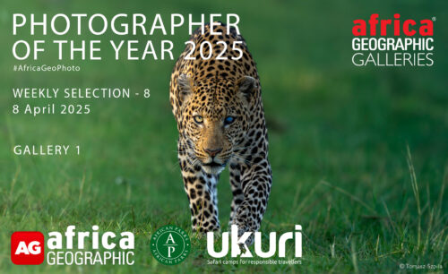 Photographer of the Year