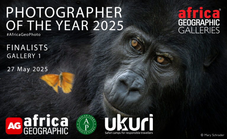 Photographer of the Year 2025 Finalists - Gallery 1 - Africa Geographic