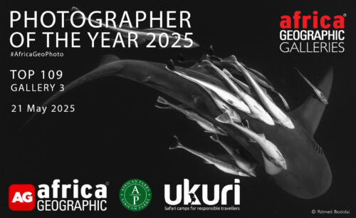 Photographer of the Year