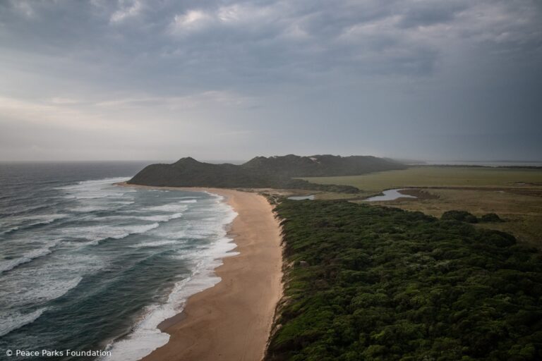 Discover Maputo National Park with us
