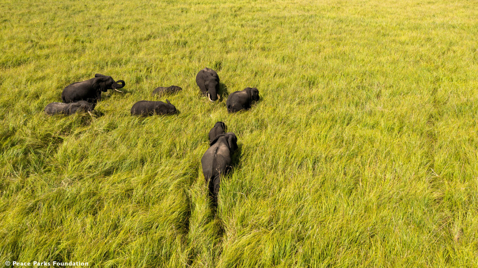 Discover Maputo National Park with us