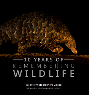 remembering wildlife