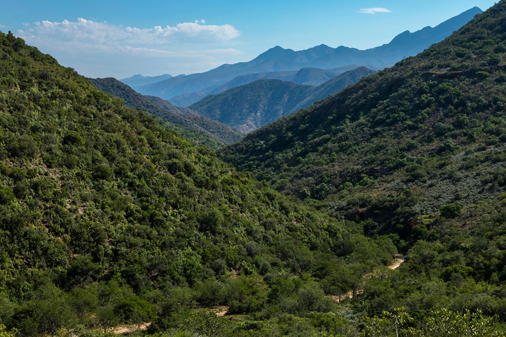 Baviaanskloof wildlife corridors