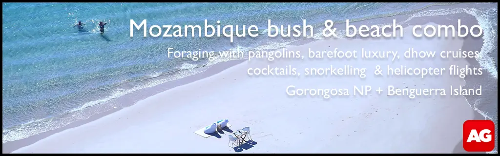 Africa Geographic Travel