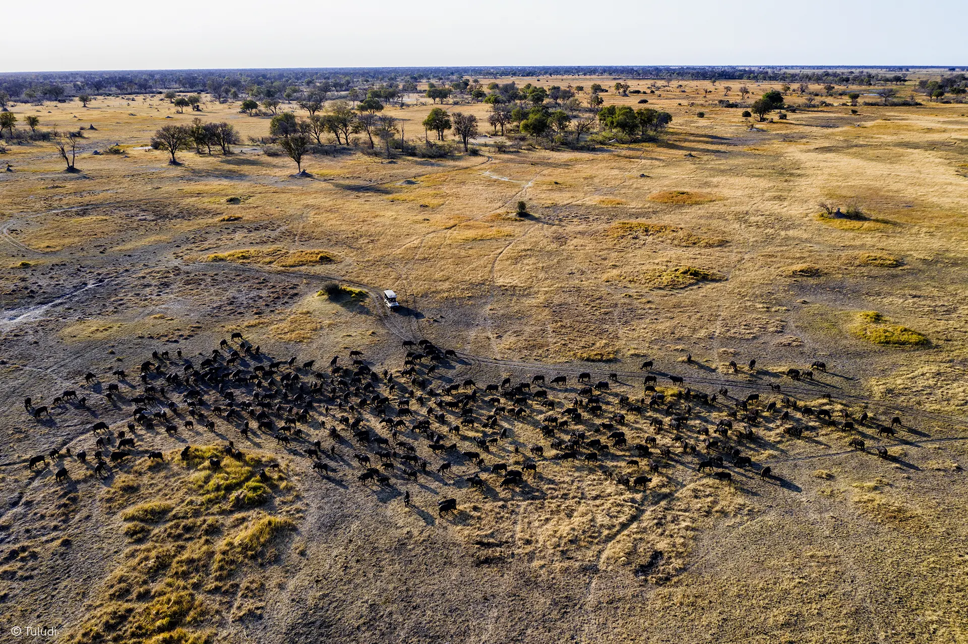 Okavango Delta