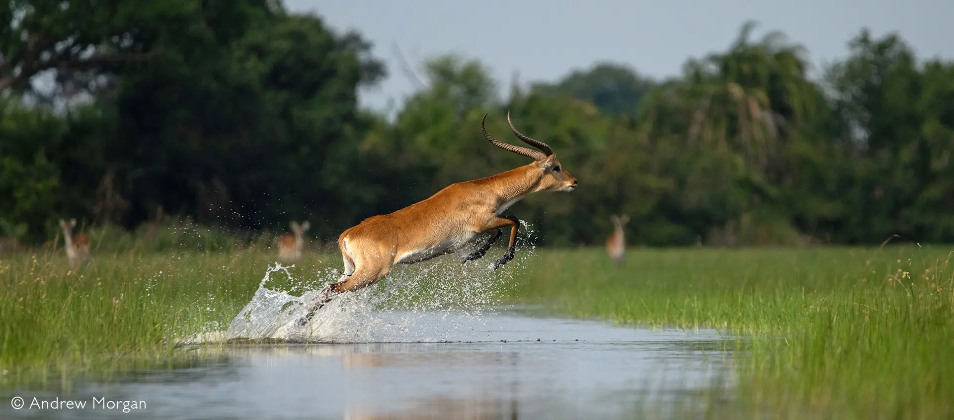 Okavango Delta safari