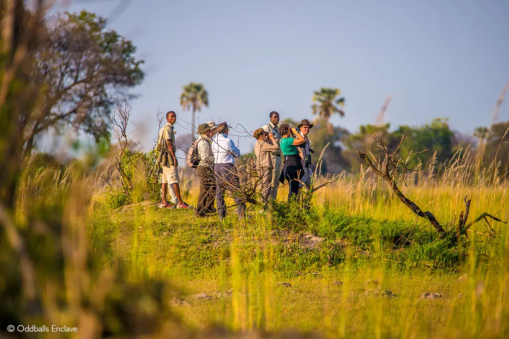 Okavango Delta walks