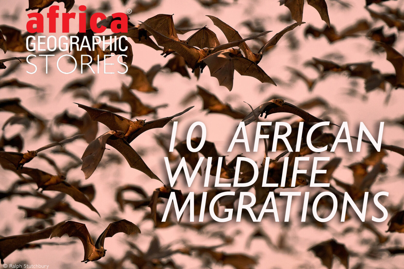 India-EU FTA Breakthrough & Digital Customs: Your Trade Briefing for Nov 11, 2025