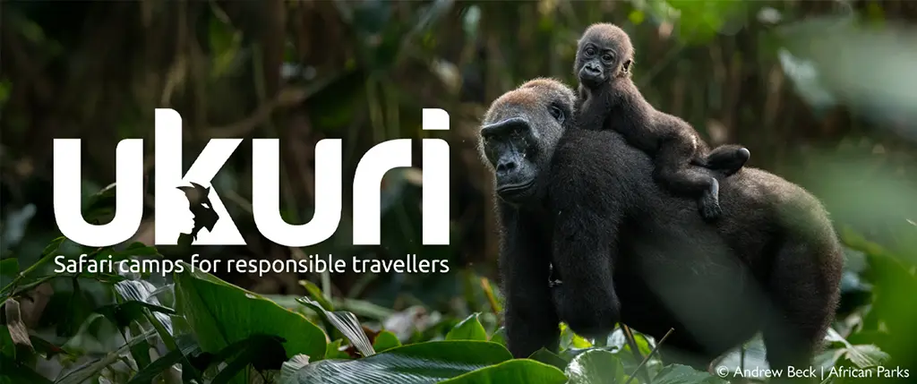 African safari ukuri 