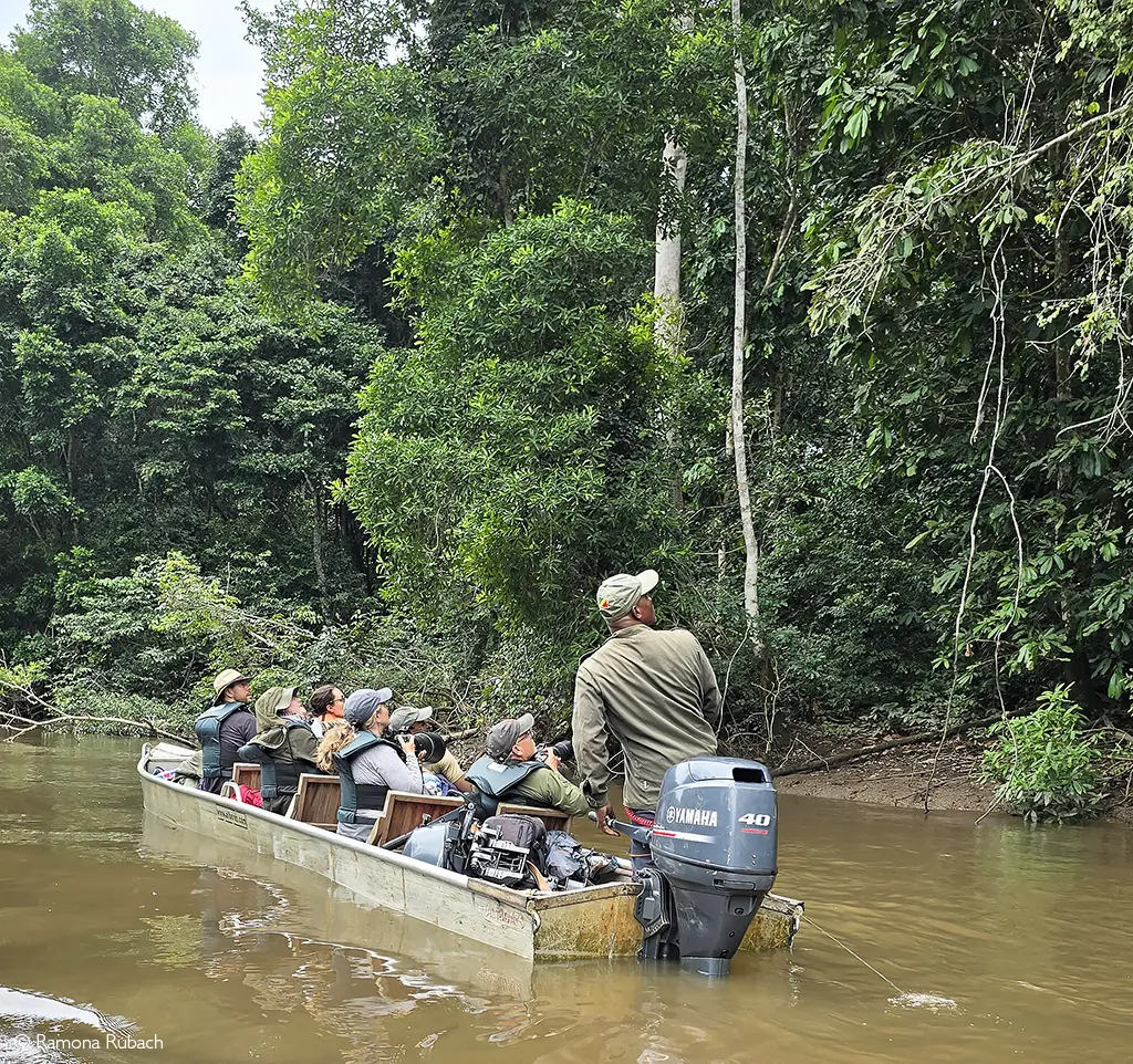 Odzala-Kokoua National Park