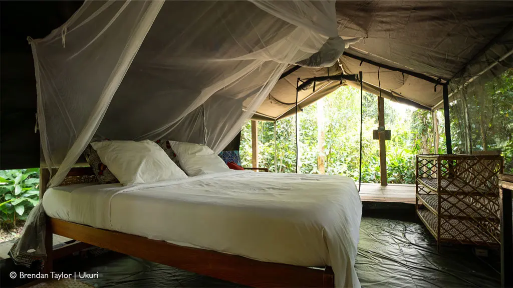 Odzala-Kokoua National Park