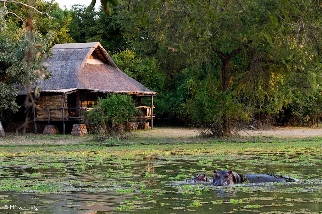 Mfuwe Lodge