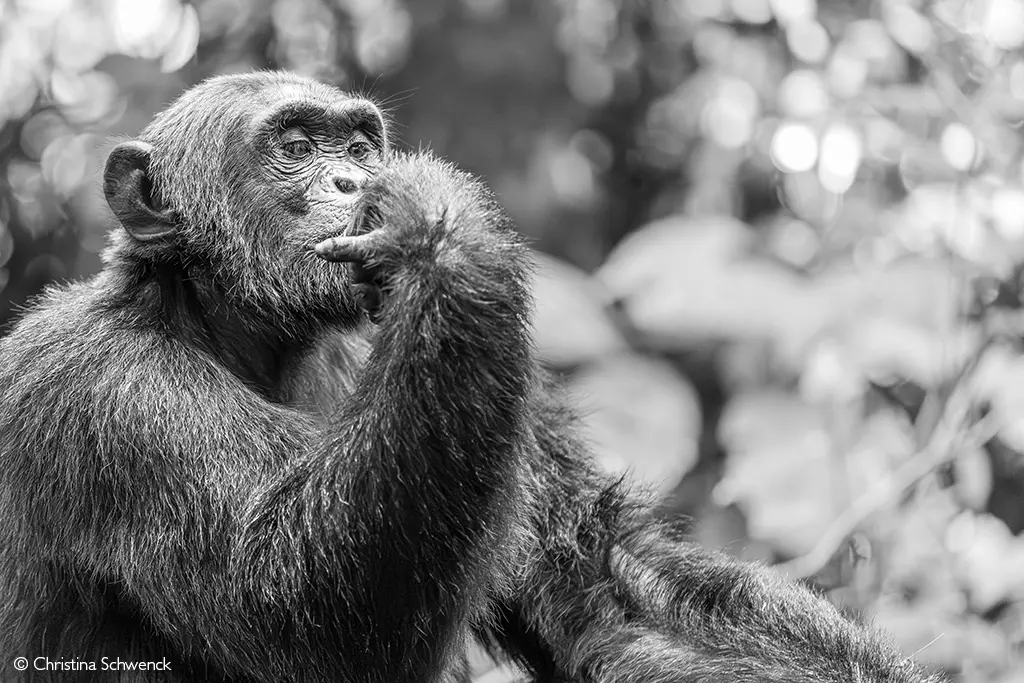 Photographer of the Year