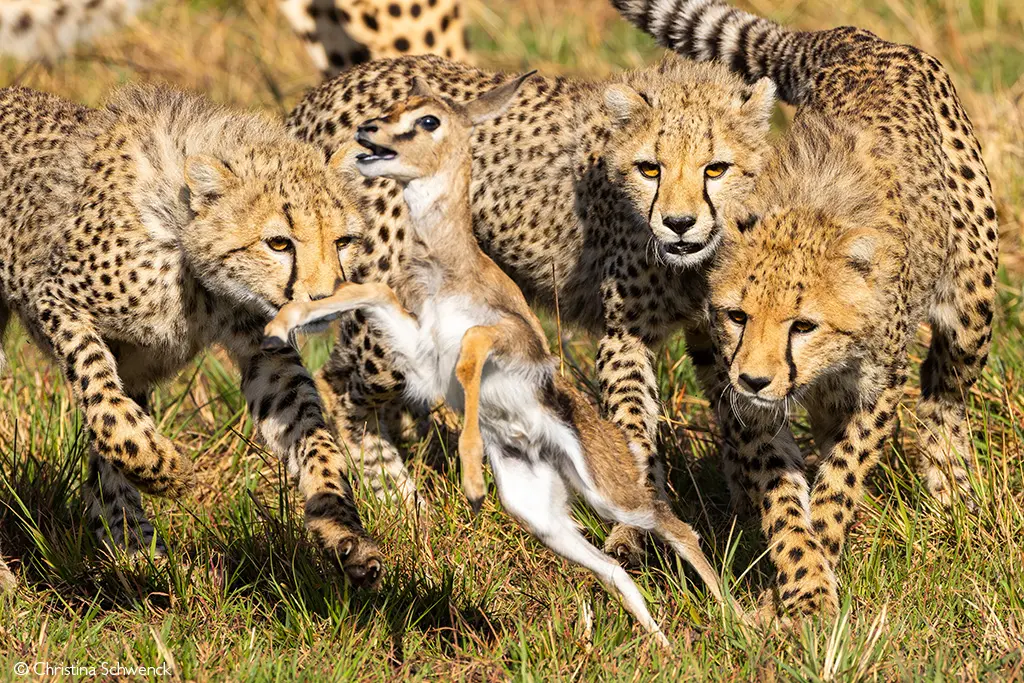 Photographer of the Year