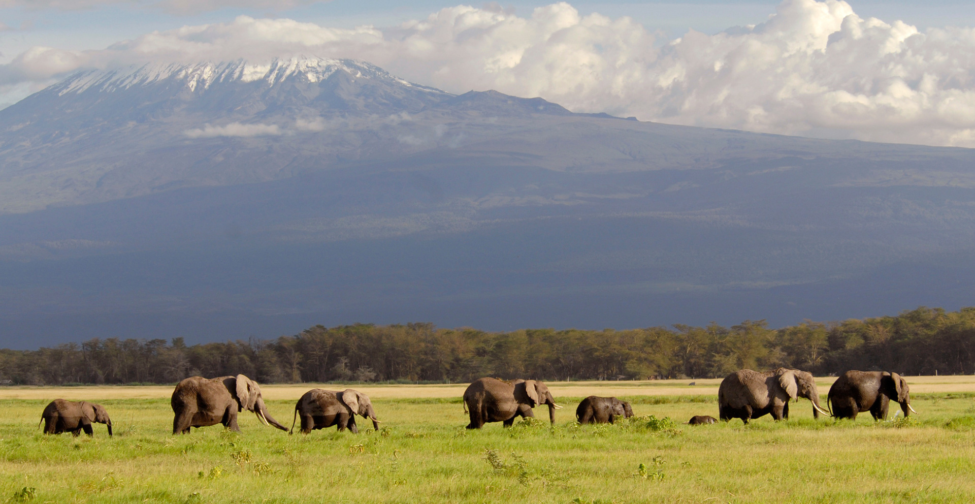 Amboseli