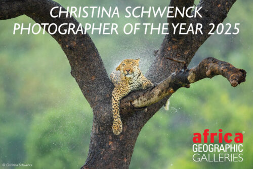 Photographer of the Year