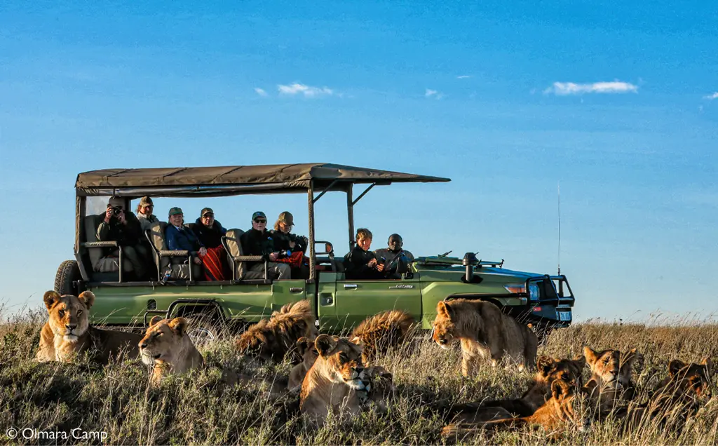 African safari