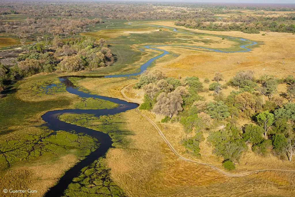okavango