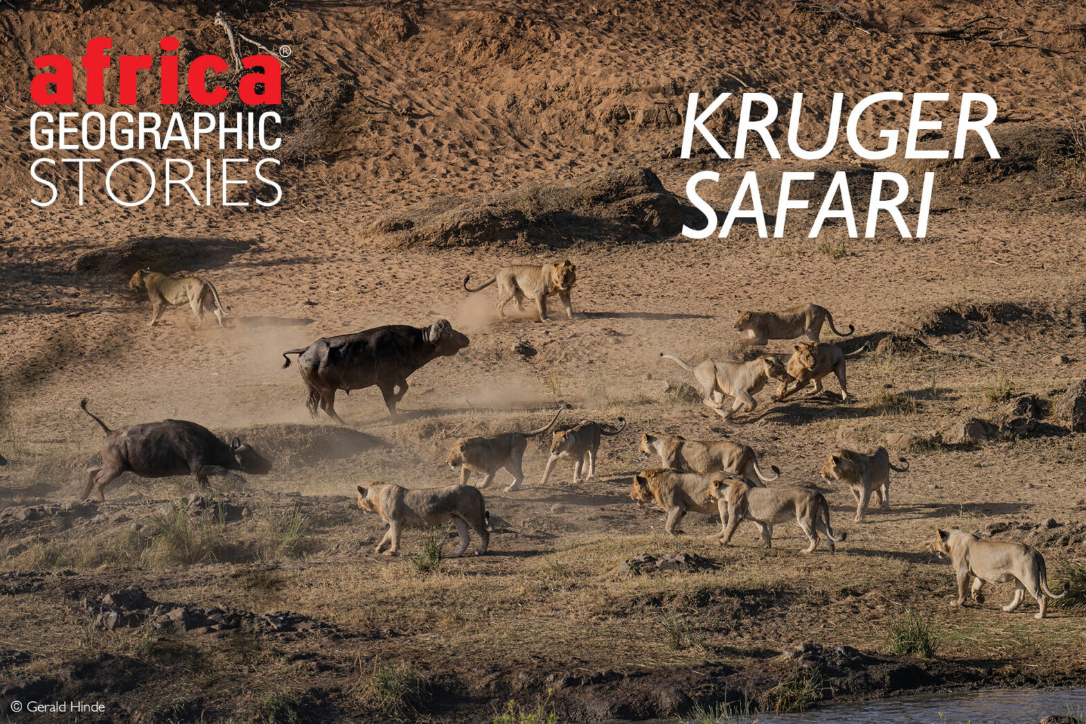 Kruger safari