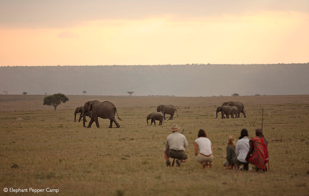 family safari