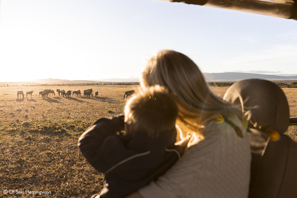 family safaris