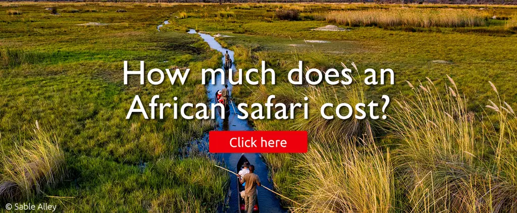 safari cost