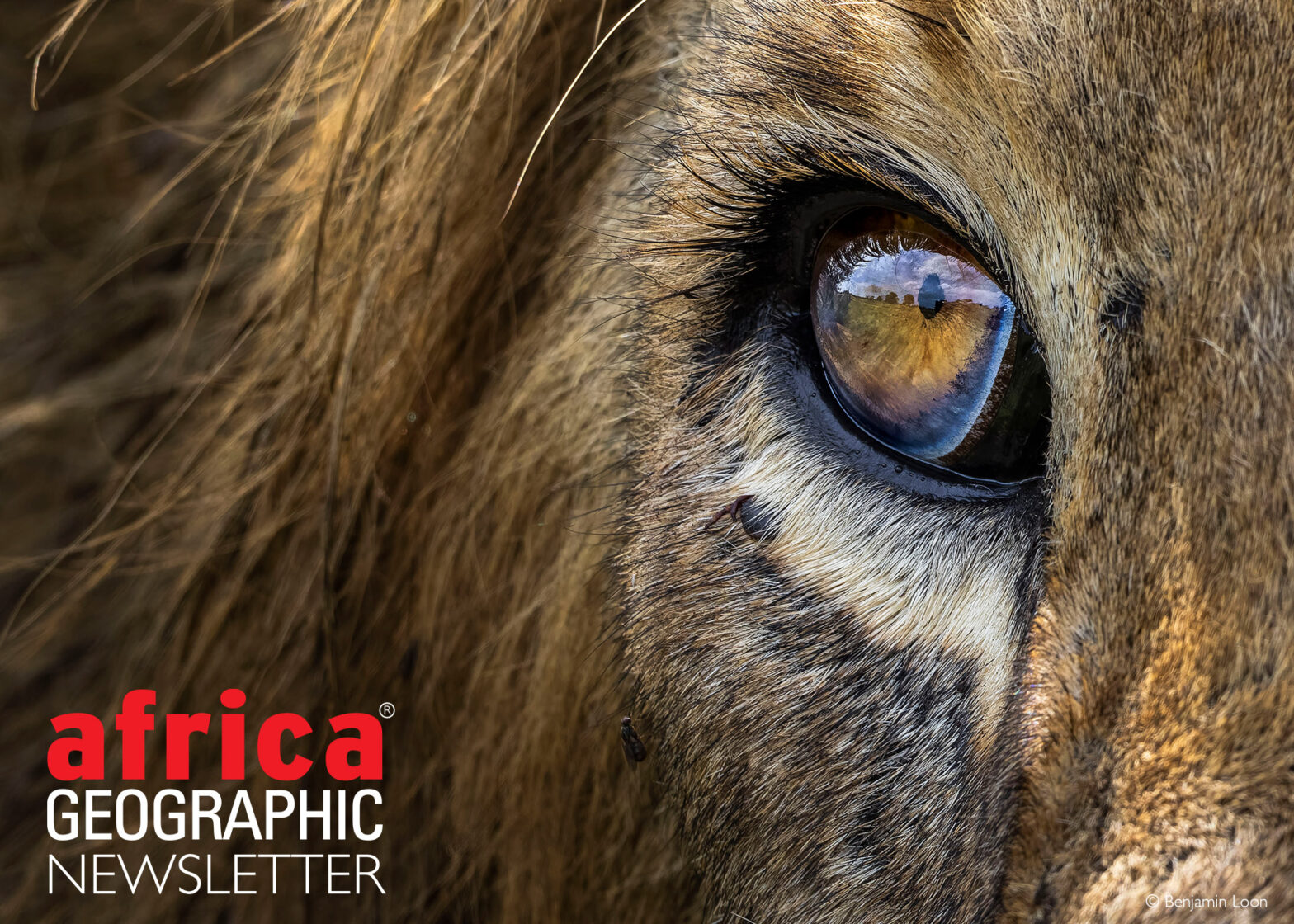 Greater Kruger Big 5 safari