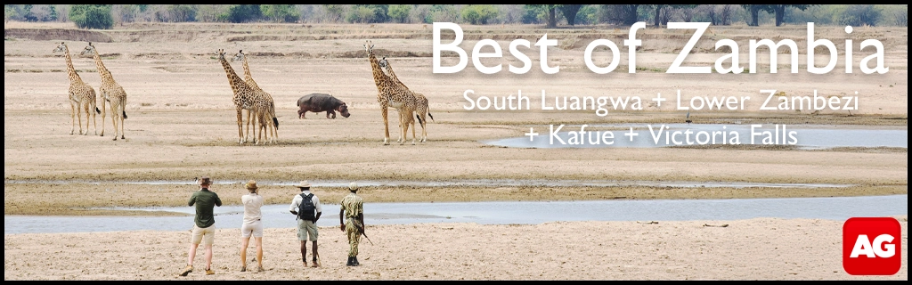 Africa Geographic Travel Africa Geographic Travel