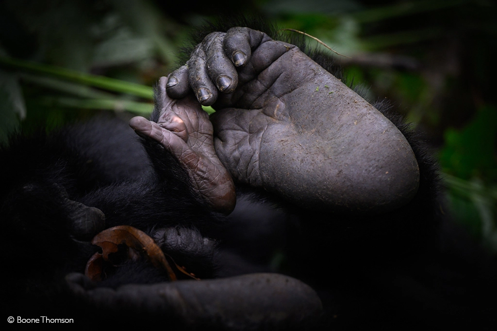 Africa Geographic photographer of the Year