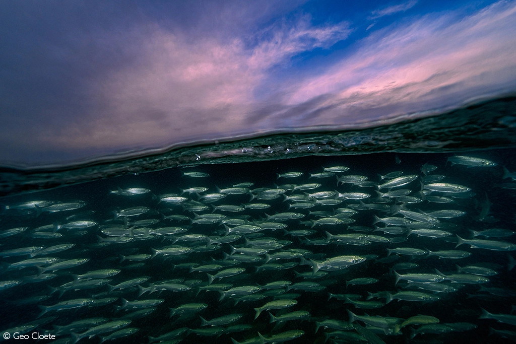 Africa Geographic Photographer of the Year