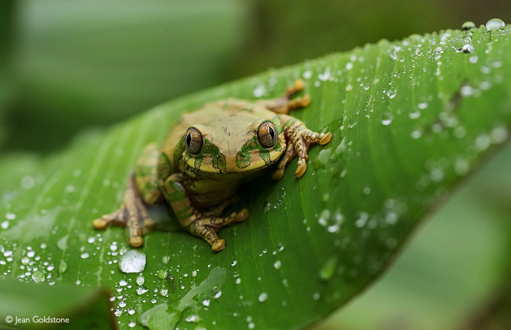 Photographer of the Year 2026