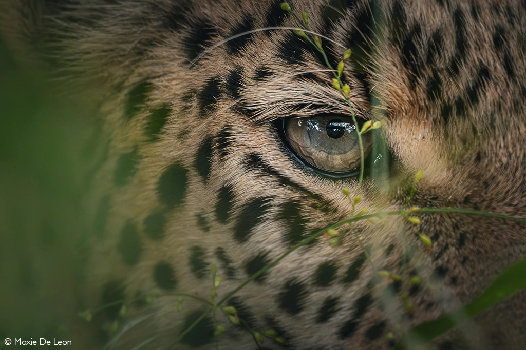 Photographer of the Year 2026